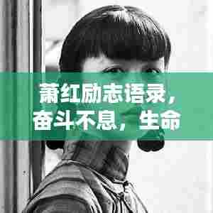 萧红励志语录,奋斗不息,生命绽放