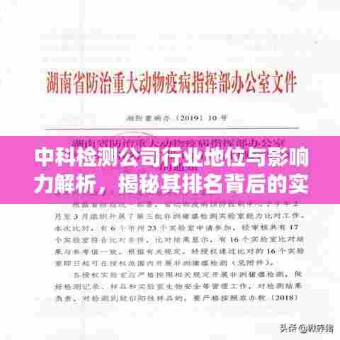 中科检测公司行业地位与影响力解析，揭秘其排名背后的实力与成就