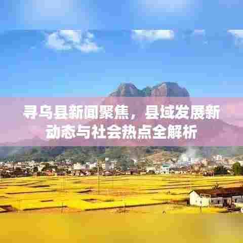 寻乌县新闻聚焦，县域发展新动态与社会热点全解析