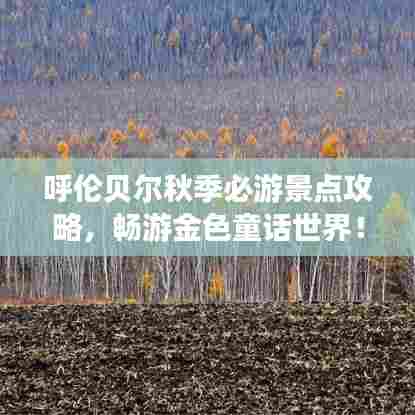 呼伦贝尔秋季必游景点攻略,畅游金色童话世界!