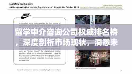 留学中介咨询公司权威排名榜，深度剖析市场现状，洞悉未来发展趋势