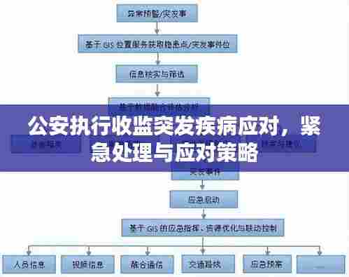 公安执行收监突发疾病应对，紧急处理与应对策略