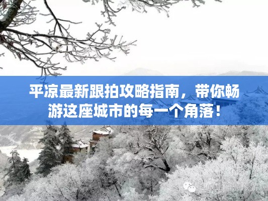 平凉最新跟拍攻略指南,带你畅游这座城市的每一个角落!