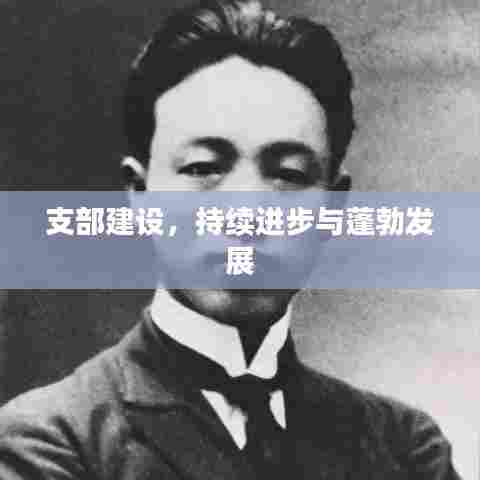 支部建设,持续进步与蓬勃发展