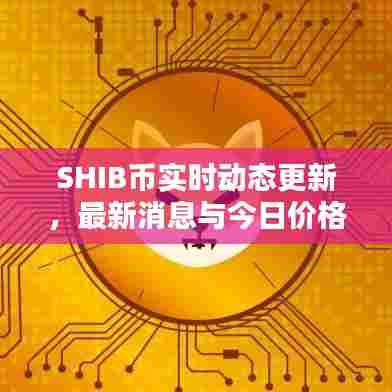 SHIB币实时动态更新,最新消息与今日价格一览