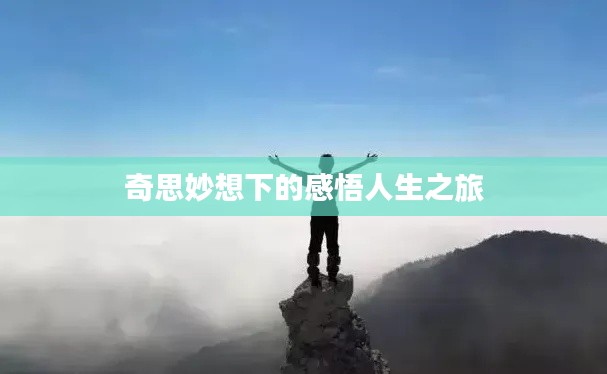 奇思妙想下的感悟人生之旅