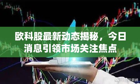 欧科股最新动态揭秘,今日消息引领市场关注焦点