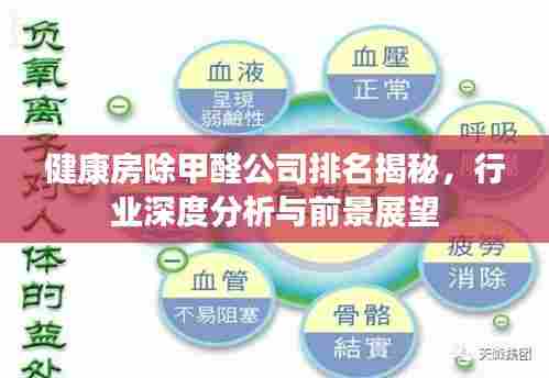 健康房除甲醛公司排名揭秘，行业深度分析与前景展望