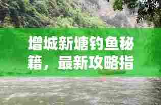 增城新塘钓鱼秘籍，最新攻略指南来袭！