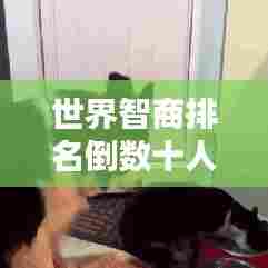 世界智商排名倒数十人深度解析