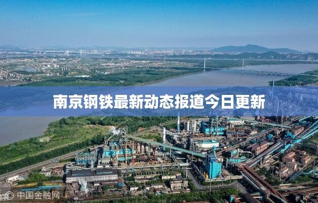 南京钢铁最新动态报道今日更新