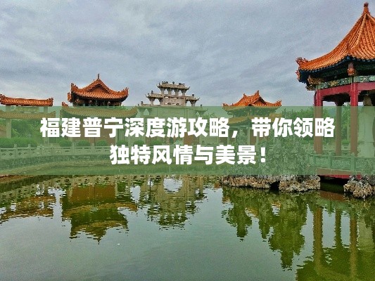 福建普宁深度游攻略,带你领略独特风情与美景!