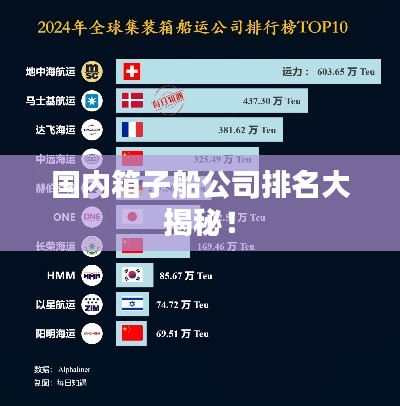 国内箱子船公司排名大揭秘！