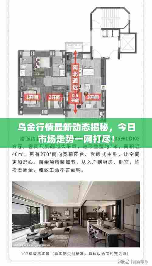 乌金行情最新动态揭秘,今日市场走势一网打尽!