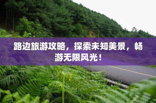 路边旅游攻略,探索未知美景,畅游无限风光!