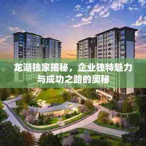 龙湖独家揭秘,企业独特魅力与成功之路的奥秘