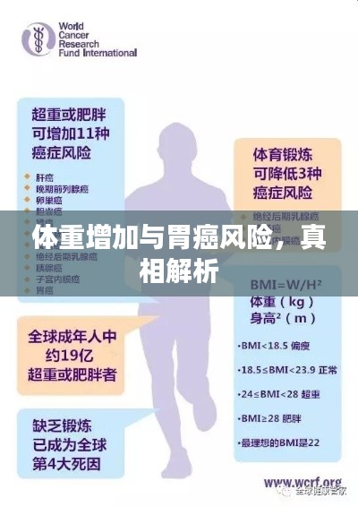 体重增加与胃癌风险，真相解析