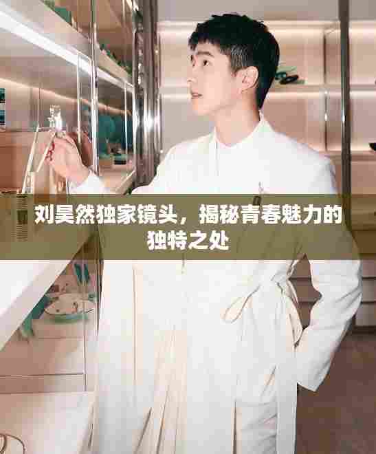 刘昊然独家镜头,揭秘青春魅力的独特之处