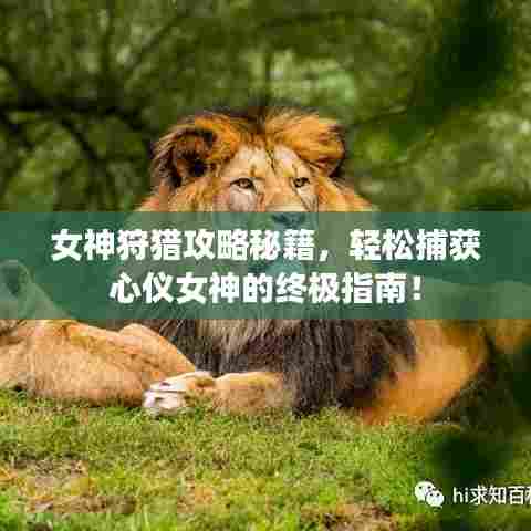 女神狩猎攻略秘籍,轻松捕获心仪女神的终极指南!
