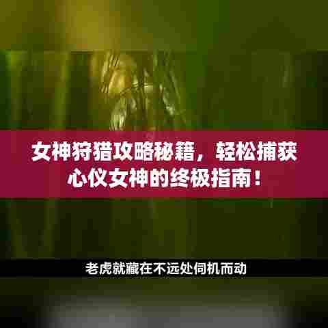 女神狩猎攻略秘籍,轻松捕获心仪女神的终极指南!