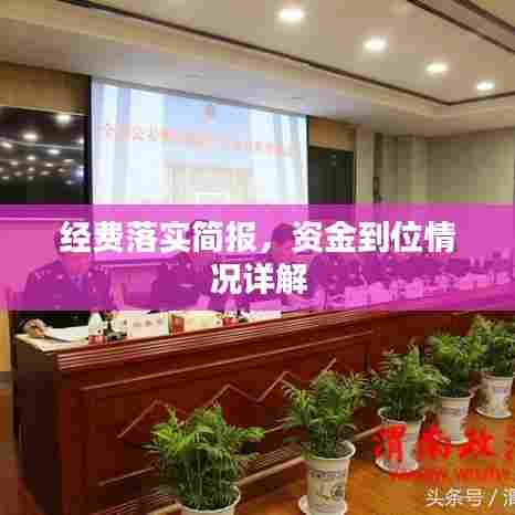 经费落实简报,资金到位情况详解