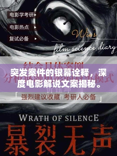 突发案件的银幕诠释,深度电影解说文案揭秘。