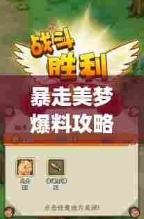 暴走美梦爆料攻略大揭秘,探索未知,解锁梦想之旅!
