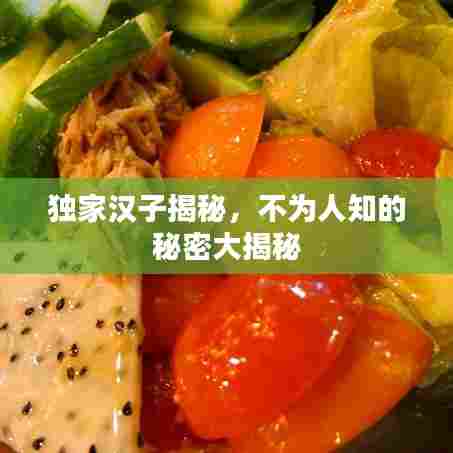 独家汉子揭秘，不为人知的秘密大揭秘