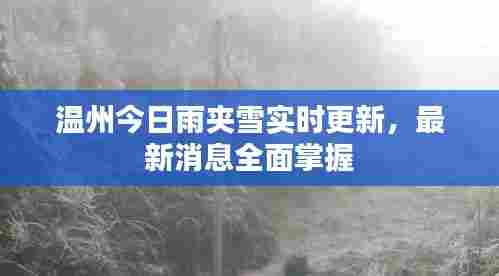 温州今日雨夹雪实时更新,最新消息全面掌握