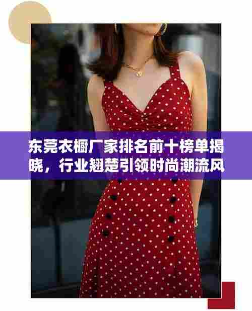 东莞衣橱厂家排名前十榜单揭晓，行业翘楚引领时尚潮流风向标