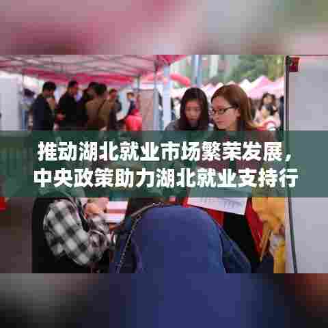 推动湖北就业市场繁荣发展,中央政策助力湖北就业支持行动