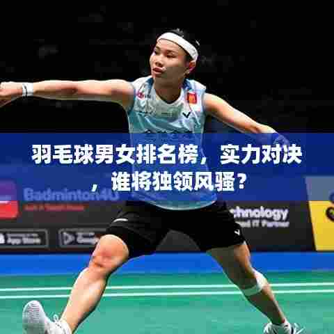 羽毛球男女排名榜，实力对决，谁将独领风骚？