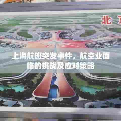 上海航班突发事件,航空业面临的挑战及应对策略