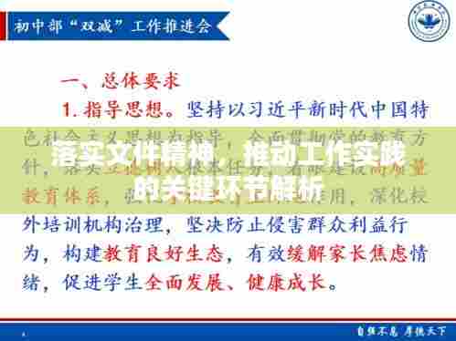 落实文件精神,推动工作实践的关键环节解析