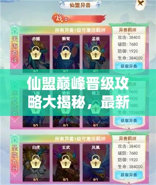 仙盟巅峰晋级攻略大揭秘,最新指南助你飞升!