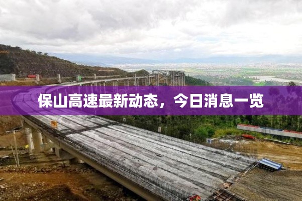 保山高速最新动态,今日消息一览