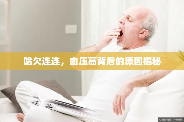 哈欠连连,血压高背后的原因揭秘