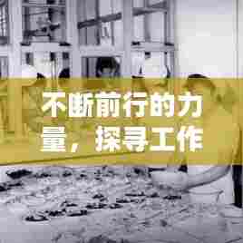 不断前行的力量，探寻工作不息的词汇，激发无限动力！