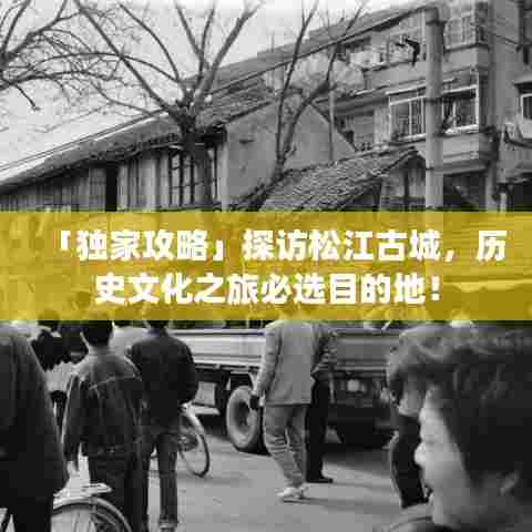 「独家攻略」探访松江古城,历史文化之旅必选目的地!