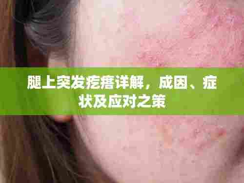 腿上突发疙瘩详解，成因、症状及应对之策