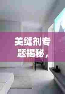 美缝剂专题揭秘,现代家居装饰的新宠儿