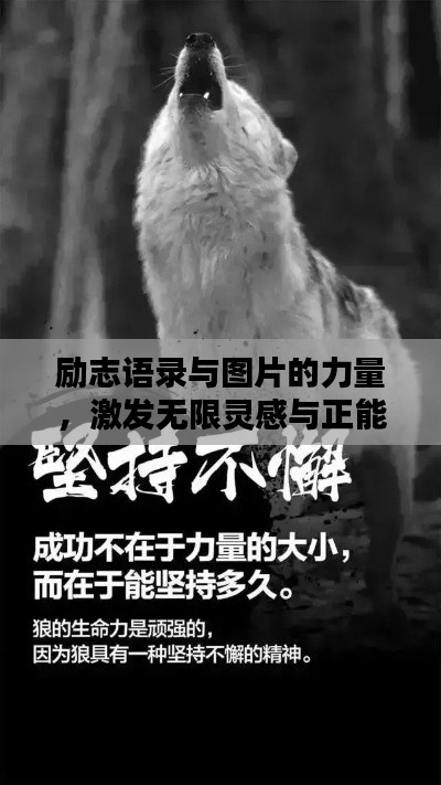 励志语录与图片的力量,激发无限灵感与正能量
