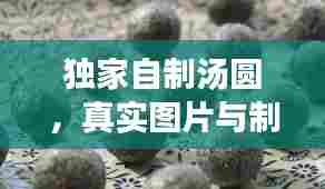 独家自制汤圆，真实图片与制作教程分享
