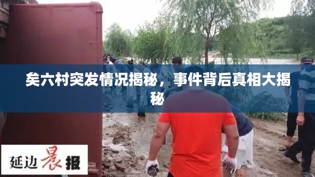 矣六村突发情况揭秘,事件背后真相大揭秘