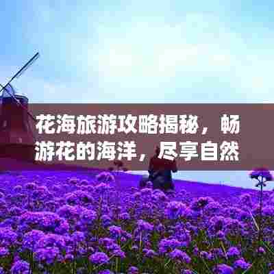 花海旅游攻略揭秘,畅游花的海洋,尽享自然之美盛宴!