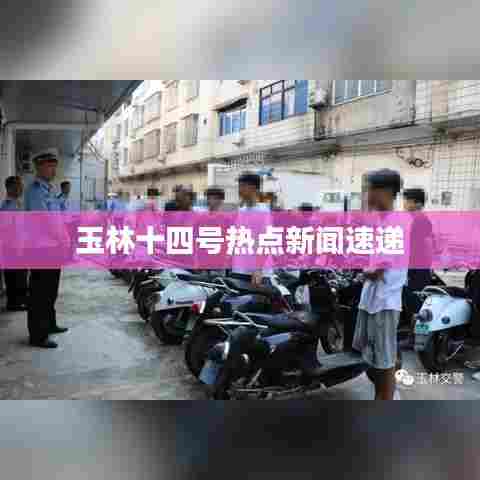 玉林十四号热点新闻速递