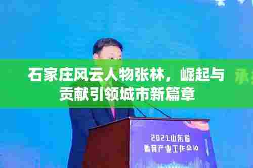 石家庄风云人物张林,崛起与贡献引领城市新篇章