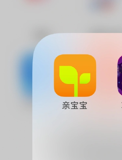 亲宝宝老版本,实地验证方案 尊贵版_v9.409