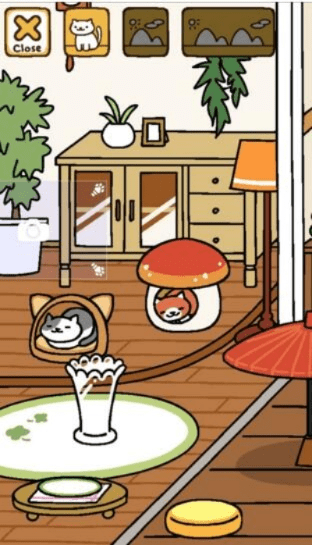 后院猫咪最新版本,实地验证数据策略-影像版_v4.969