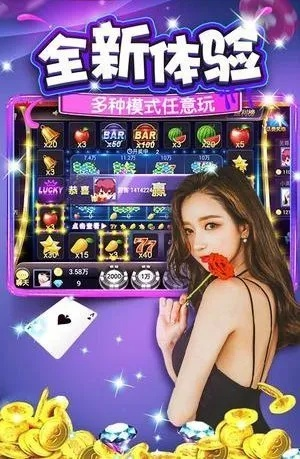 91y游戏中心旧版本,精细评估说明&PalmOS_v2.954